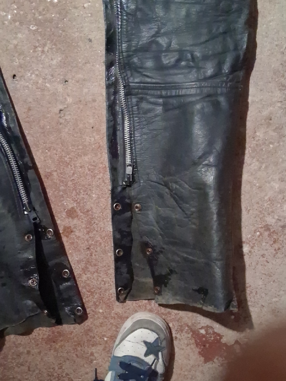 Womans Chaps - Picture 4 of 5